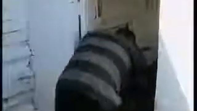 По фене ботает смотреть онлайн