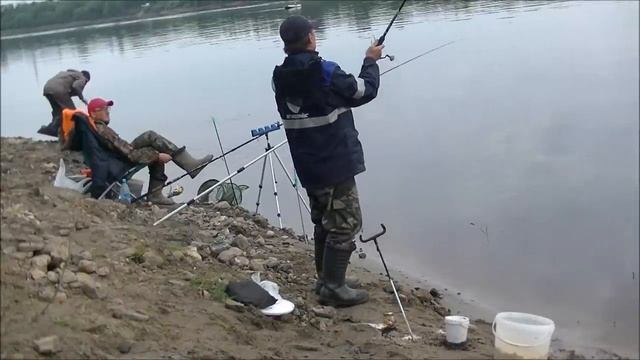 Рыбалка на Фидер 16 июля 2017 утро в Окваде река Вычегда смотреть онлайн