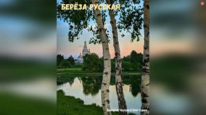 БЕРЁЗА РУССКАЯ
