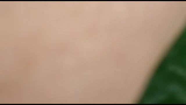 Третья и четвертая обработка винограда после цветения. Сбор урожая черешни. г.Шымкент10.06.2022 год смотреть онлайн