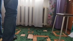 Как Бесплатно  избавиться от блох в квартире(доме)