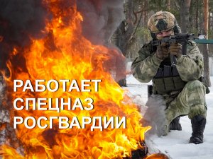 Тренировка спецназа Северо-Западного округа Росгвардии по штурму объекта