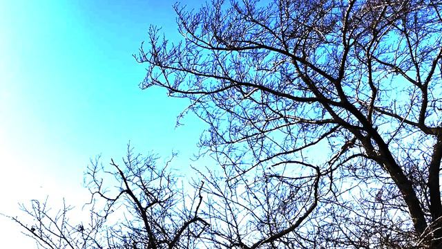 River Songs #23「音で詠む」 9弦ギター　ソロ　9-string guitar Solo смотреть онлайн