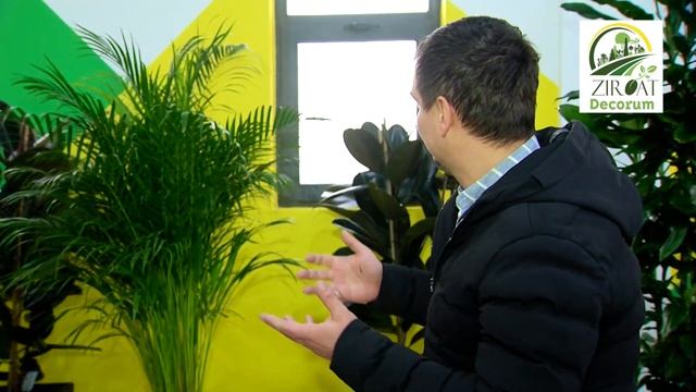 Умные горшки для цветов смотреть онлайн