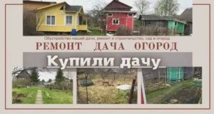 Купили дачу