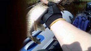 Рыбалка с Димоном. Щука сошла с ума.2021