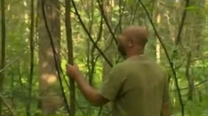 17 Рейтинг Баженова  Могло быть хуже