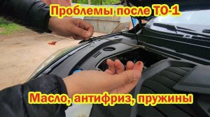 Проблемы после ТО-1 Chery Tiggo 7 Pro max Масло Пружины Антифриз  отзыв владельца после 10 000 км