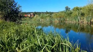 Речка Брусянка в деревне Гилева, окуньки