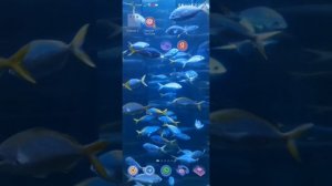 Как установить ютуб на хуавей без гугл-сервисов?