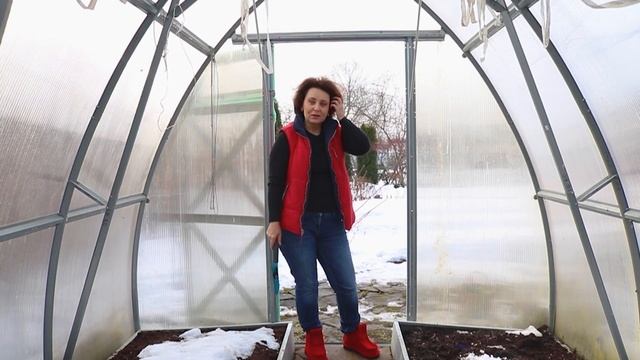 Выгонка Гиацинтов I Сад Людмилы Кудасовой смотреть онлайн