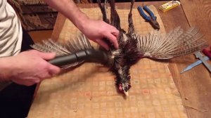 изготовление чучела фазана