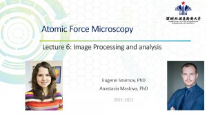 Атомно-силовая микроскопия (АСМ). Лекция 6: Обработка и анализ изображений. Gwyddion