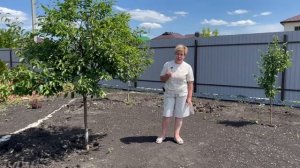 НЕ ПРОПУСТИТЕ ЭТИ ПОДКОРМКИ И ОБРАБОТКИ В ИЮНЕ!