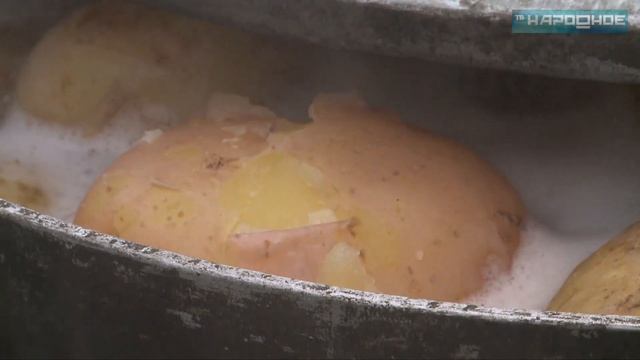 Праздник урожая «Ах, картошка!» смотреть онлайн