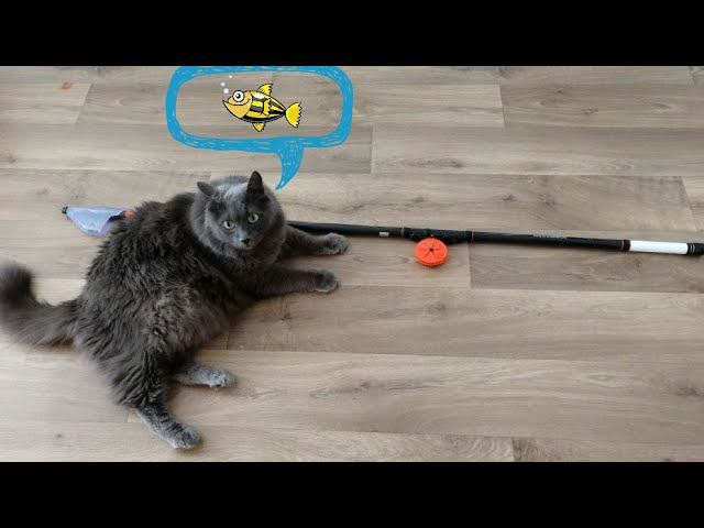 Новая, классная болонка для поплавочной ловли "Shimano" 5 метров, обзор :-) #NIK_72 смотреть онлайн