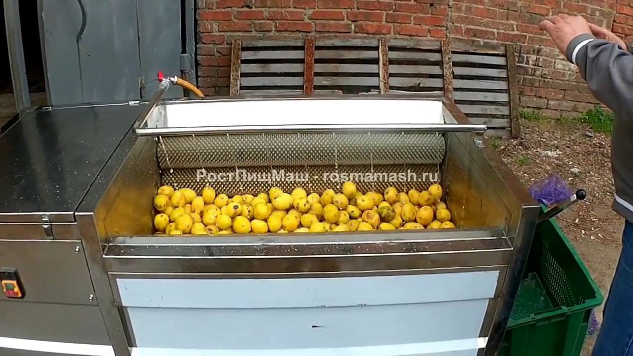 Машина мойки картофеля GB от РостПищМаш