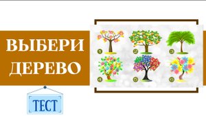 Этот тест с деревом потрясет вас — узнайте, что он расскажет о ваших основных чертах характера!