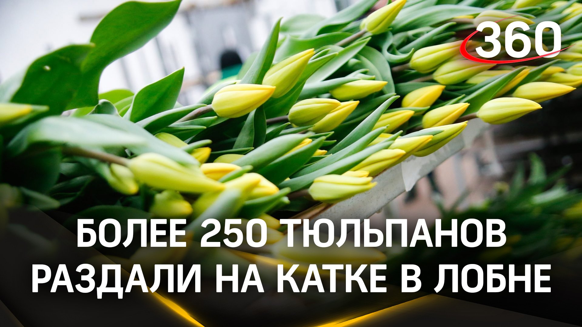 Более 250 тюльпанов раздали в честь 8 Марта на катке в Лобне