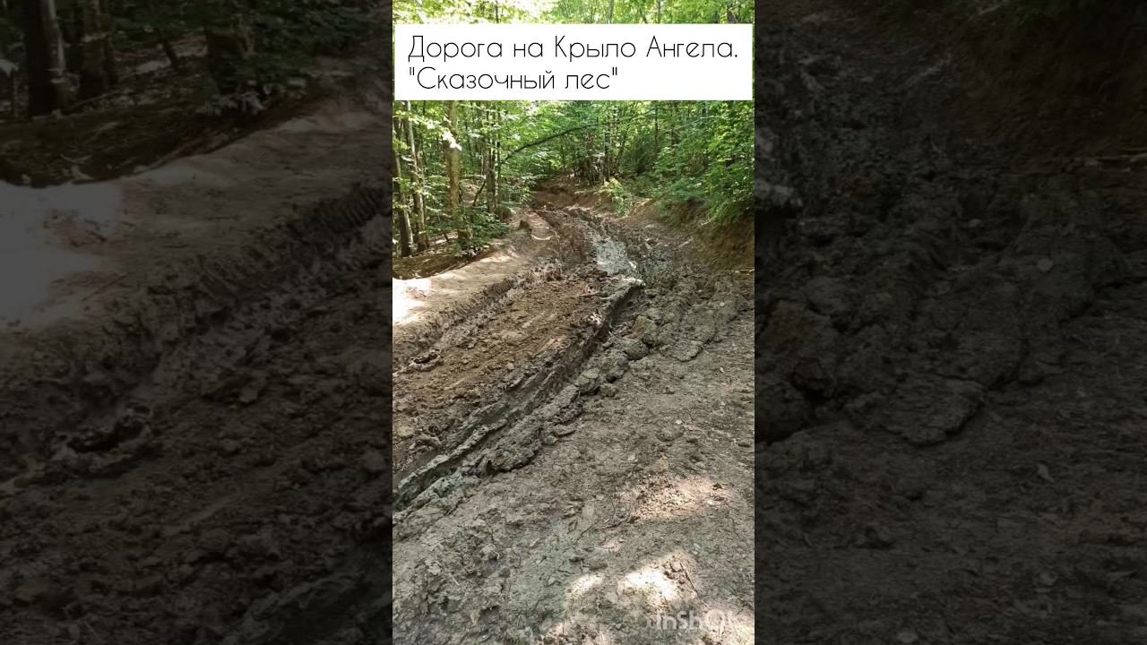 #Дорога на #КрылоАнгела. #СказочныйЛес #lebedkaservice #ЛебедкаСервис #offroad #4х4 #бездорожье