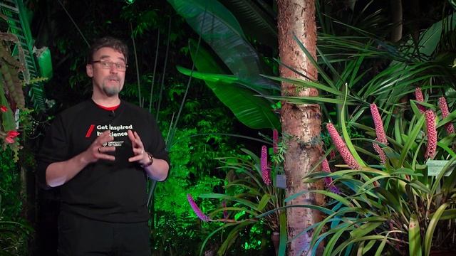 Luonnollista kemiaa: Araucaria bidwillii смотреть онлайн