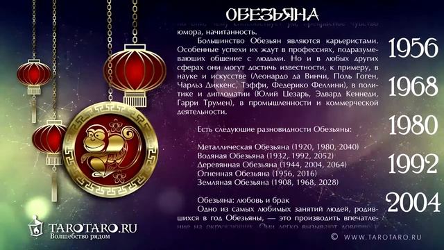 Обезьяна: характеристика знака или год Обезьяны по восточному (китайскому) гороскопу