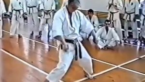 Hidetaka Nishiyama Seminar Karate Shotokan v3