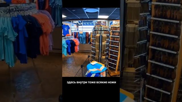 #медведи #медведь #животные #люди #сувениры #символика #сша #Колорадо #штат #путешествия #поамерике