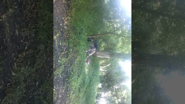 Типичный БРД смотреть онлайн