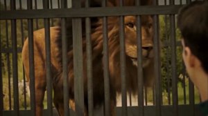 Великий Подарок Султану Ахмеду | Великолепный век. Империя Кёсем Серия 2