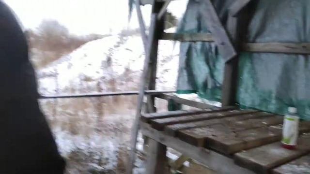Бизнэсмэн Сева #1 (Шаурмечная)