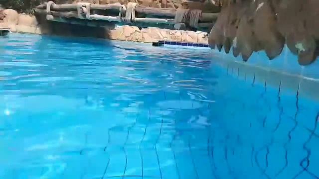 ?Sharks Bay пляж? и Hotel Delta Sharm, морские приключения David Super, Египет, Шарм Эль Шейх смотреть онлайн