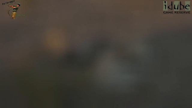 Safari Highlights #348: 27 Jun - 01 Jul 2015 | Sabi Sand Nature reserve | Latest #Wildlife Sighting смотреть онлайн