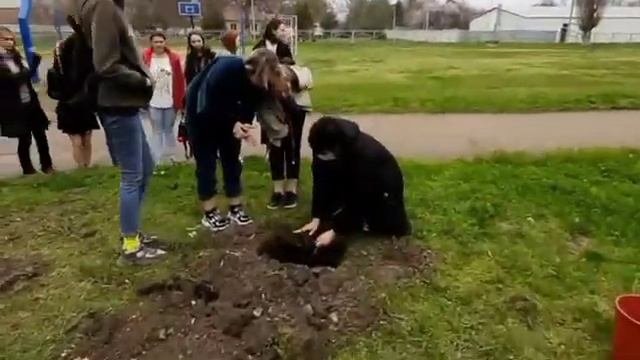 #СадПамяти