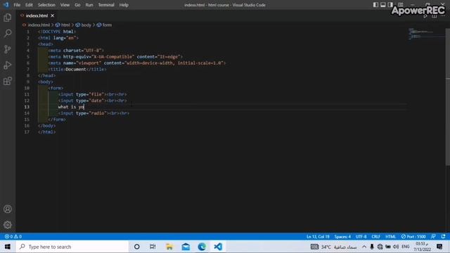 form and inputs, files, date, radio and checkbox