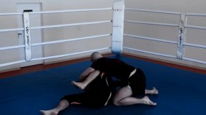 С.Т.А.Я. - Смелей