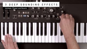 Waldorf STVC Sounddemo