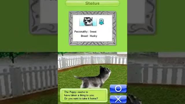 Petz   Dogz Pack USA mp4 HYPERSPIN DS NINTENDO DS NOT MINE VIDEOS