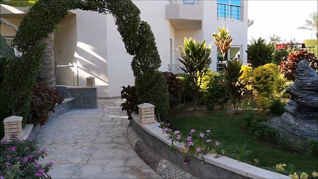 ОБЗОР отеля СИГАЛ ХУРГАДА\Отель SEAGULL Beach Resort 4* | Хургада Египет канал Дружная Семья смотреть онлайн