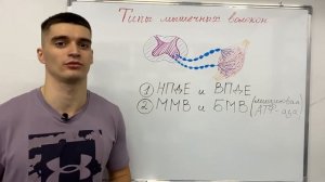Типы мышечных волокон.
