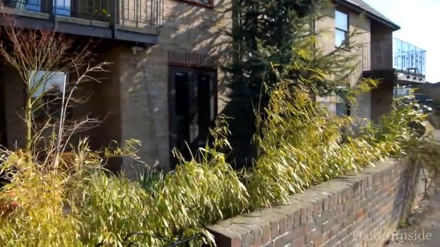 46. [2/2] Прогулка вдоль реки Темзы, Оксфорд. River Thames, Oxford смотреть онлайн