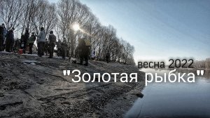 Соревнования "Золотая рыбка - весна 2022"