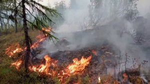 РАБОТА МАГАДАНСКИХ СПАСАТЕЛЕЙ ПО ТУШЕНИЮ ЛЕСНЫХ ПОЖАРОВ 2023 год