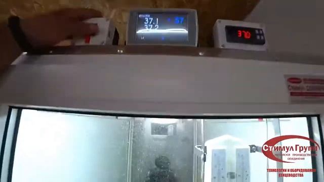 Инкубация КОББ-500 от А до Я в инкубаторе Стимул-1000М1-У от Александра BY