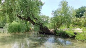 Вилково, Одесская область. Часть 2-я_20210629 114943