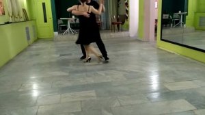 пол года танго, танго новичка