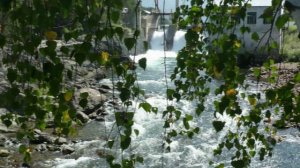 Отдых на Алтае, Чемальская ГЭС | Чемал