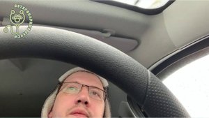 Ветеринария. Эпилепсия