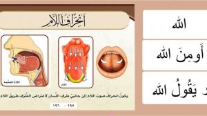 Буква ل. Махрадж. Айман Сувейд. Таджвид. Правильное произношение арабских букв.
