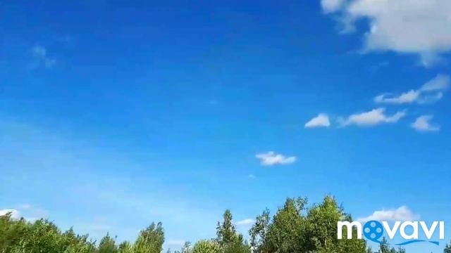 #жизньвроссии #природа  Поехали на дачу |  Чудо, как хороша!?